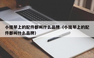 小提琴上的配件都叫什么品牌（小提琴上的配件都叫什么品牌）