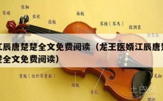 江辰唐楚楚全文免费阅读（龙王医婿江辰唐楚楚全文免费阅读）