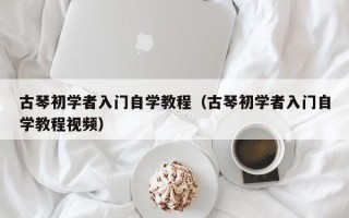 古琴初学者入门自学教程（古琴初学者入门自学教程视频）