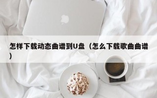 怎样下载动态曲谱到U盘（怎么下载歌曲曲谱）