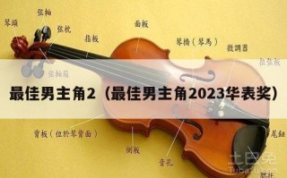 最佳男主角2（最佳男主角2023华表奖）