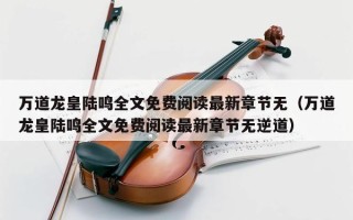 万道龙皇陆鸣全文免费阅读最新章节无（万道龙皇陆鸣全文免费阅读最新章节无逆道）