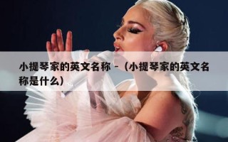 小提琴家的英文名称 -（小提琴家的英文名称是什么）