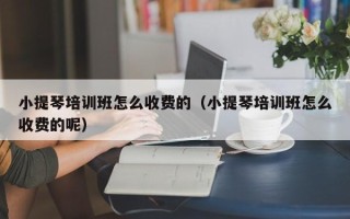 小提琴培训班怎么收费的（小提琴培训班怎么收费的呢）