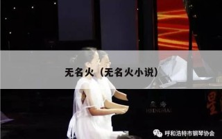 无名火（无名火小说）