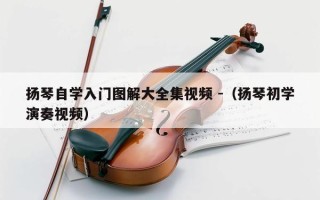 扬琴自学入门图解大全集视频 -（扬琴初学演奏视频）