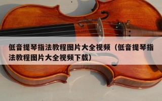 低音提琴指法教程图片大全视频（低音提琴指法教程图片大全视频下载）