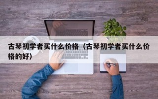 古琴初学者买什么价格（古琴初学者买什么价格的好）