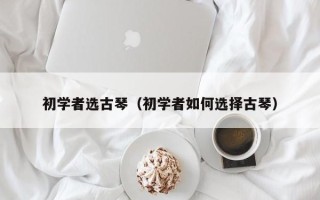 初学者选古琴（初学者如何选择古琴）