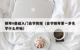 钢琴0基础入门自学教程（自学钢琴第一步先学什么开始）