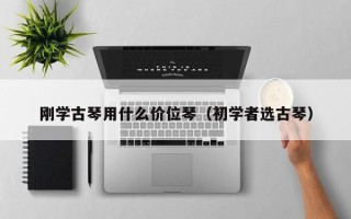 刚学古琴用什么价位琴（初学者选古琴）