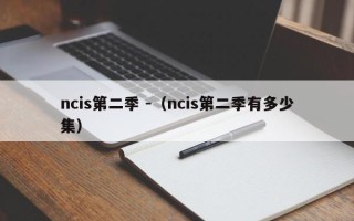 ncis第二季 -（ncis第二季有多少集）