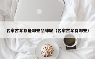 名家古琴都是哪些品牌呢（名家古琴有哪些）