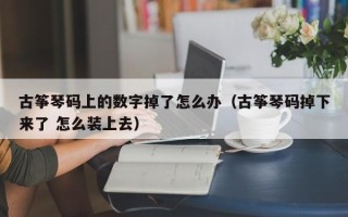 古筝琴码上的数字掉了怎么办（古筝琴码掉下来了 怎么装上去）