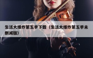 生活大爆炸第五季下载（生活大爆炸第五季未删减版）