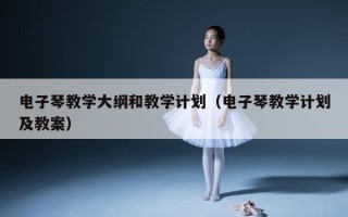 电子琴教学大纲和教学计划（电子琴教学计划及教案）