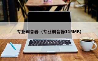 专业调音器（专业调音器115MB）