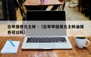 古琴保养凡士林 -（古琴琴弦用凡士林油保养可以吗）