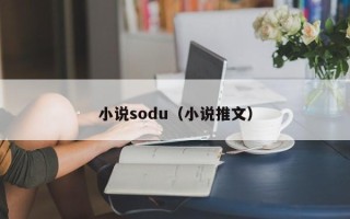 小说sodu（小说推文）