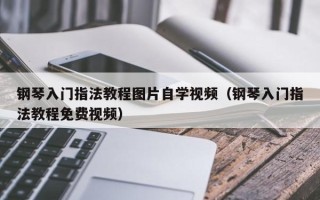 钢琴入门指法教程图片自学视频（钢琴入门指法教程免费视频）