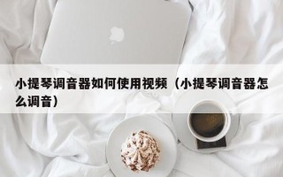 小提琴调音器如何使用视频（小提琴调音器怎么调音）