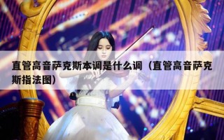 直管高音萨克斯本调是什么调（直管高音萨克斯指法图）