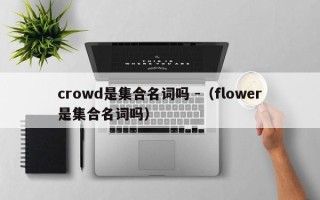 crowd是集合名词吗 -（flower是集合名词吗）