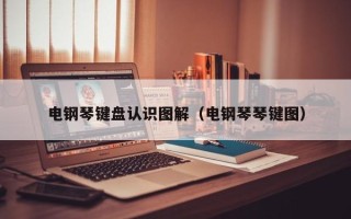 电钢琴键盘认识图解（电钢琴琴键图）