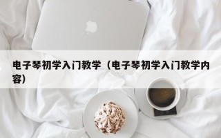 电子琴初学入门教学（电子琴初学入门教学内容）