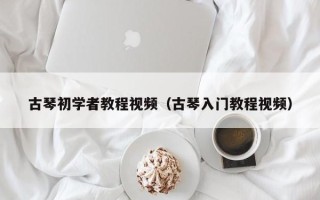 古琴初学者教程视频（古琴入门教程视频）