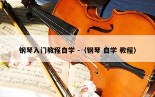 钢琴入门教程自学 -（钢琴 自学 教程）