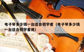 电子琴多少钱一台适合初学者（电子琴多少钱一台适合初学者用）