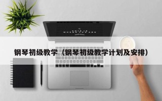 钢琴初级教学（钢琴初级教学计划及安排）