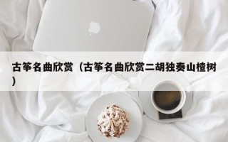 古筝名曲欣赏（古筝名曲欣赏二胡独奏山楂树）