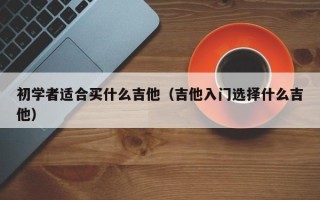 初学者适合买什么吉他（吉他入门选择什么吉他）