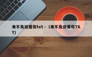 来不及说爱你txt -（来不及说爱你TXT）