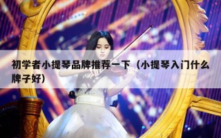 初学者小提琴品牌推荐一下（小提琴入门什么牌子好）