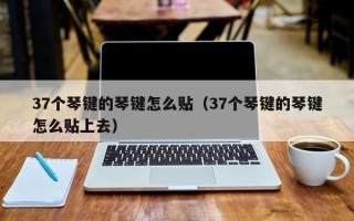 37个琴键的琴键怎么贴（37个琴键的琴键怎么贴上去）