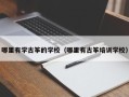 哪里有学古筝的学校（哪里有古筝培训学校）