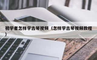 初学者怎样学古琴视频（怎样学古琴视频教程）