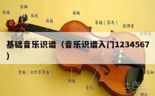 基础音乐识谱（音乐识谱入门1234567）