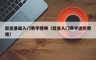 琵琶基础入门教学视频（琵琶入门教学进阶教程）