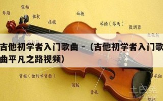 吉他初学者入门歌曲 -（吉他初学者入门歌曲平凡之路视频）