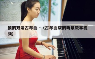 猿鹤双清古琴曲 -（古琴曲双鹤听泉教学视频）