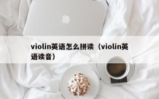 violin英语怎么拼读（violin英语读音）