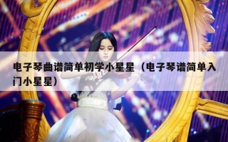 电子琴曲谱简单初学小星星（电子琴谱简单入门小星星）