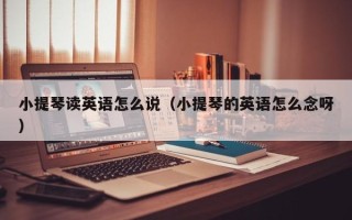 小提琴读英语怎么说（小提琴的英语怎么念呀）