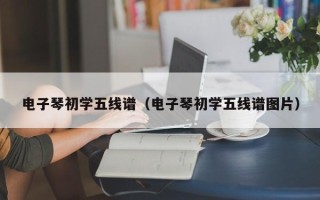 电子琴初学五线谱（电子琴初学五线谱图片）