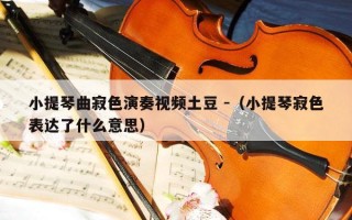 小提琴曲寂色演奏视频土豆 -（小提琴寂色表达了什么意思）