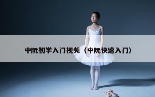 中阮初学入门视频（中阮快速入门）